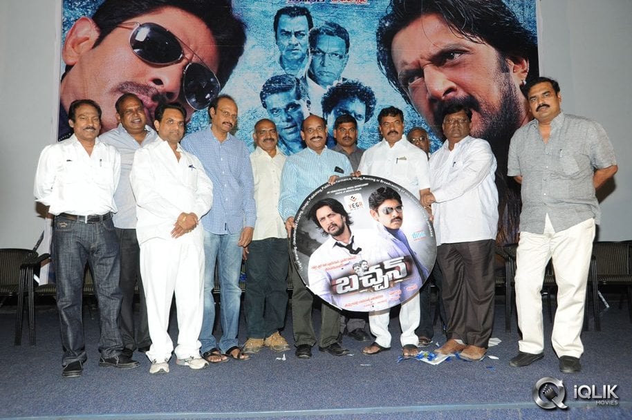 Bachchan-Movie-Platinum-Disc-Function